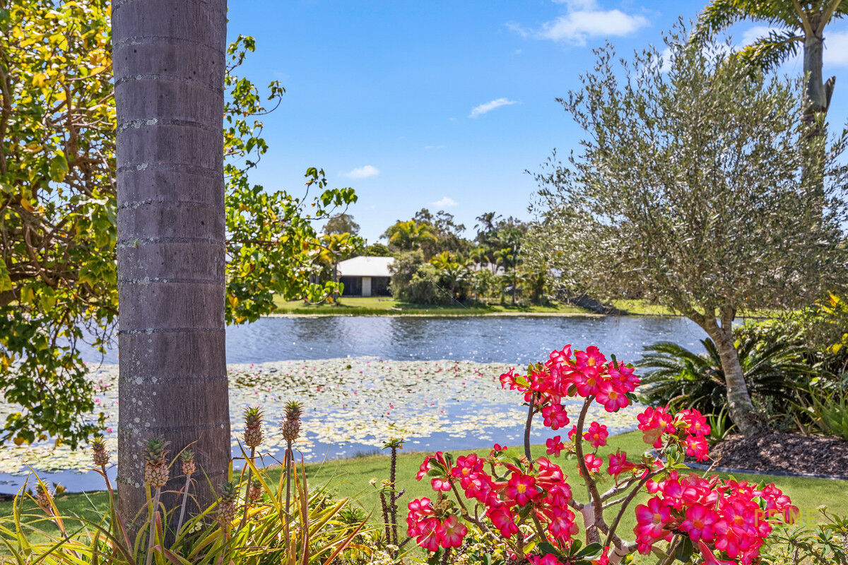 42 EAGLE BEACH PDE, DUNDOWRAN BEACH QLD 4655, 0房, 0浴, House