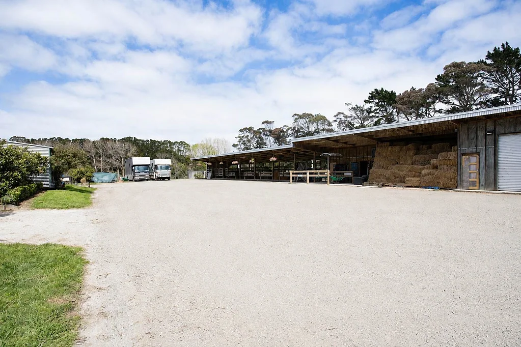 Helensville 4Zimmer Land, Infrastructure & Opportunity