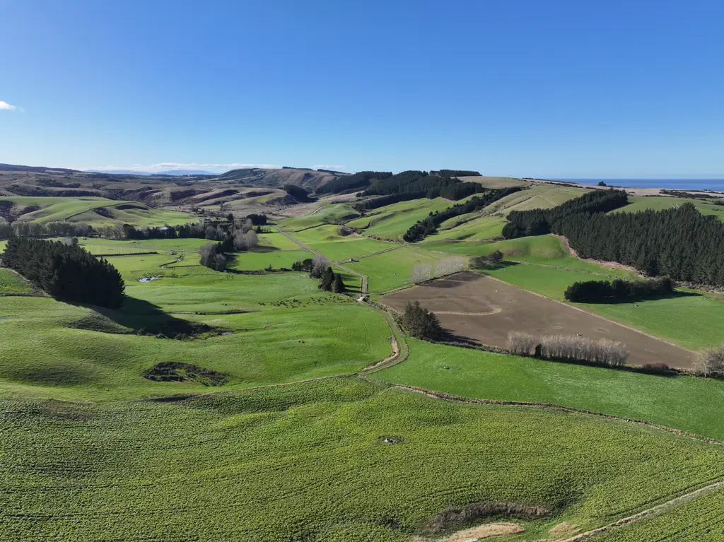 Milton Grazing Dairy Support or Future Dairy Farm