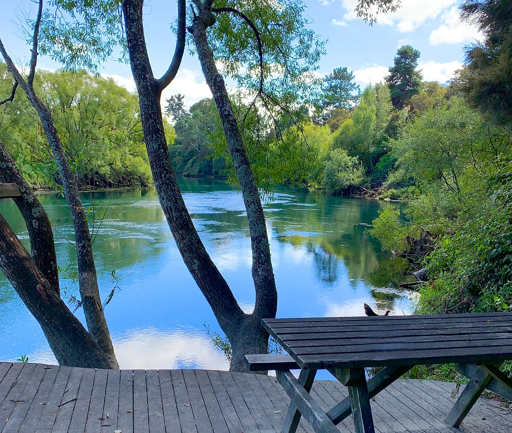 665 River Road, Broadlands Forest, Taupo, Central North Island