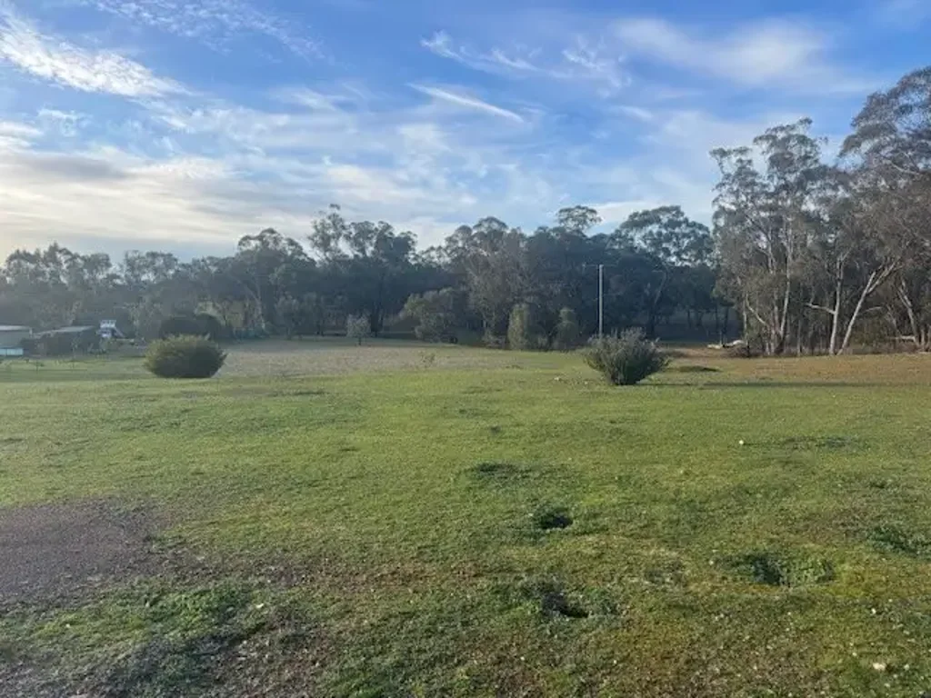 Wedderburn 2.66 ACRES - BUILD YOUR DREAM COUNTRY ESCAPE
