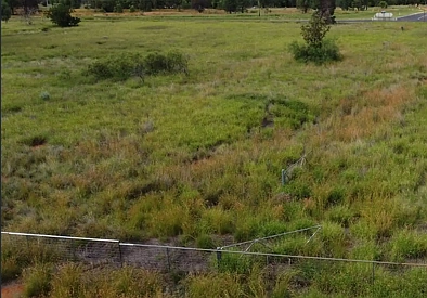 34 Mitchell Hwy, Coolabah, NSW 2831, 0 Schlafzimmer, 0 Badezimmer, Lifestyle Property