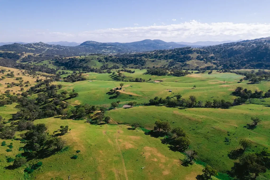 Willow Tree  "Temi" - A Large-Scale Grazing Opportunity on the Renowned Liverpool Ranges