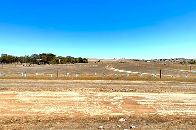 Sheringa For Sale: Two Vacant Blocks in Sheringa – Ideal for Your Dream Coastal Home