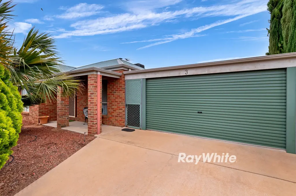 3 Rosedale Court, Buronga, NSW 2739