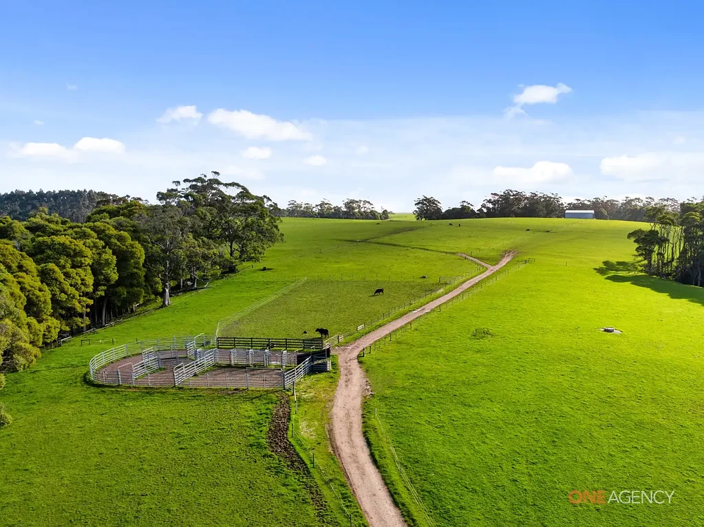 Irishtown Productive Farmland On Multiple Titles