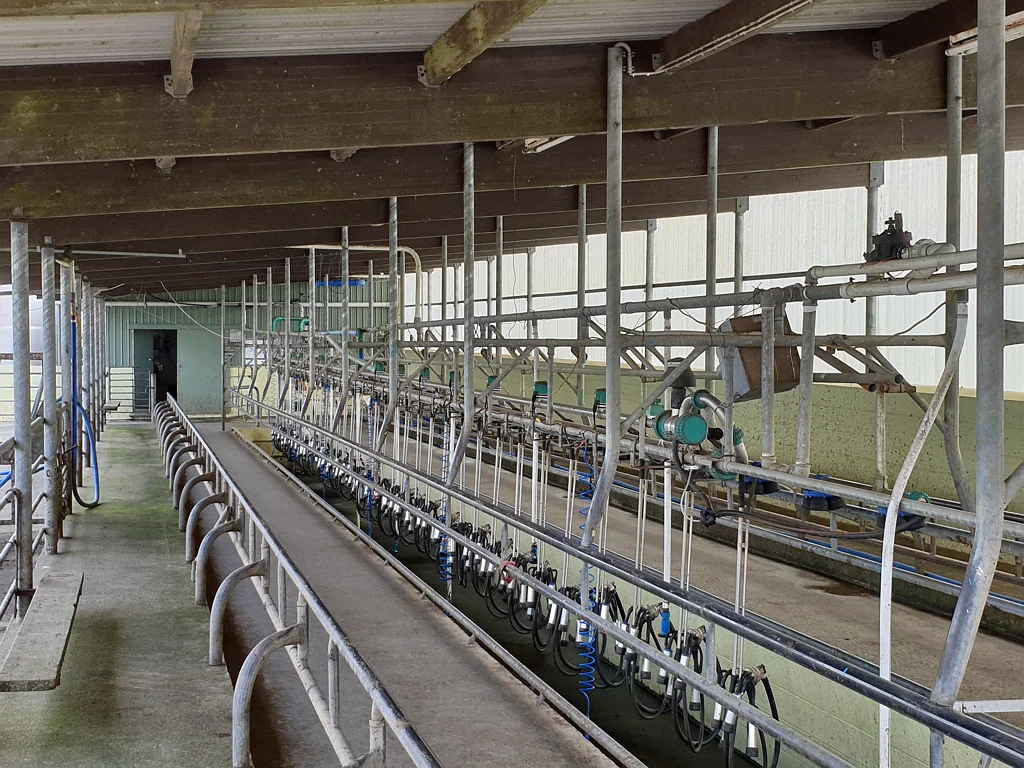 Inglewood Tariki Dairy Farm