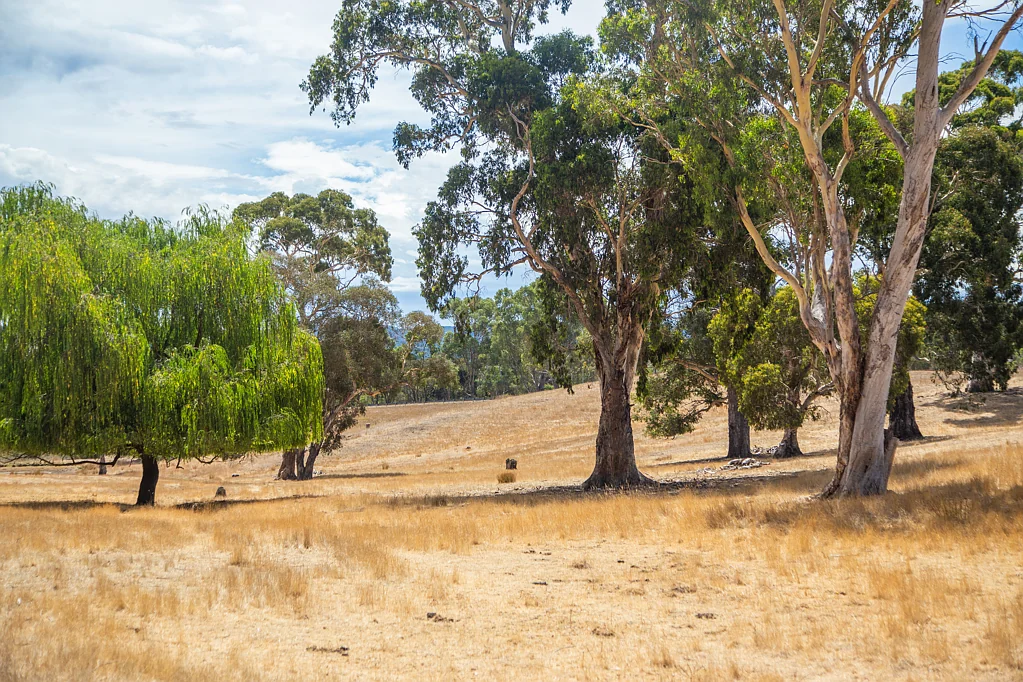 Hahndorf Calling all big thinkers, bold dreamers, and creative souls - here's your chance to make your mark in Hahndorf!