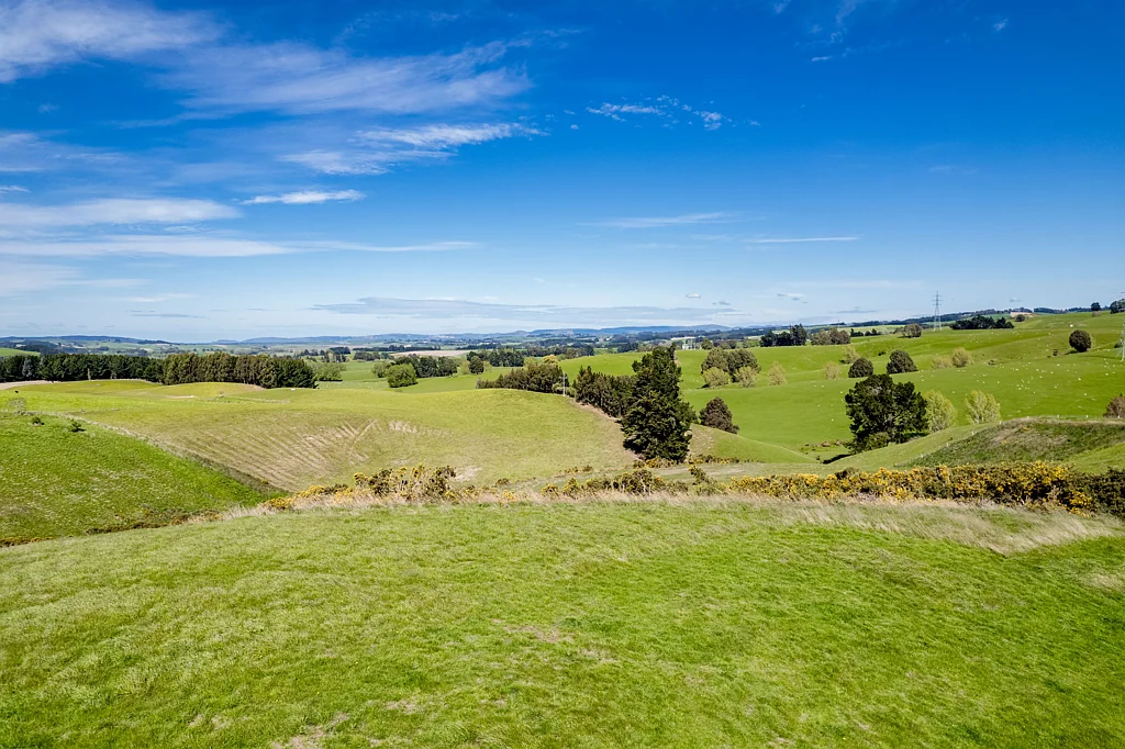 Milton Crichton Road - rural views