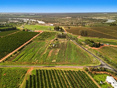 239 Pumps Road, Red Cliffs, VIC 3496, 0房, 0浴, Lifestyle Property