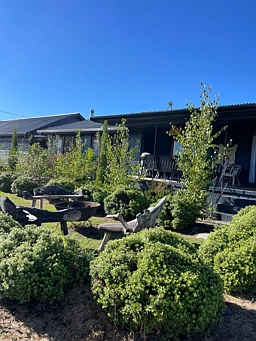 50 Tenterfield Street, Wallangarra