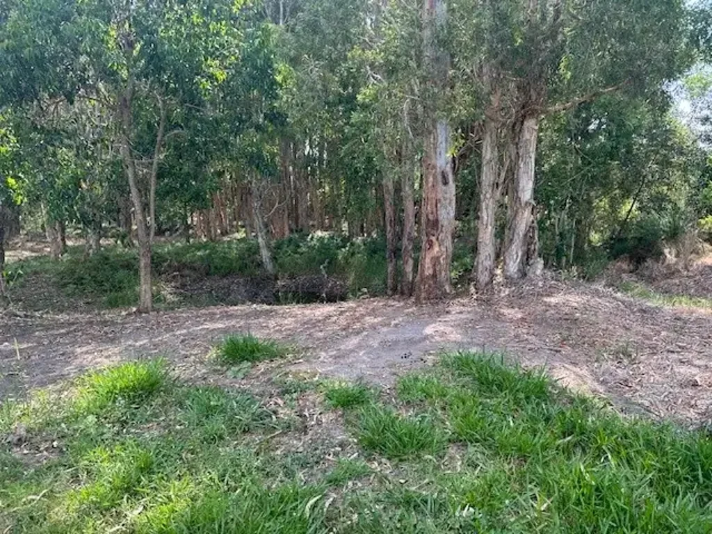 D'Aguilar ONE FOR THE NATURE LOVER