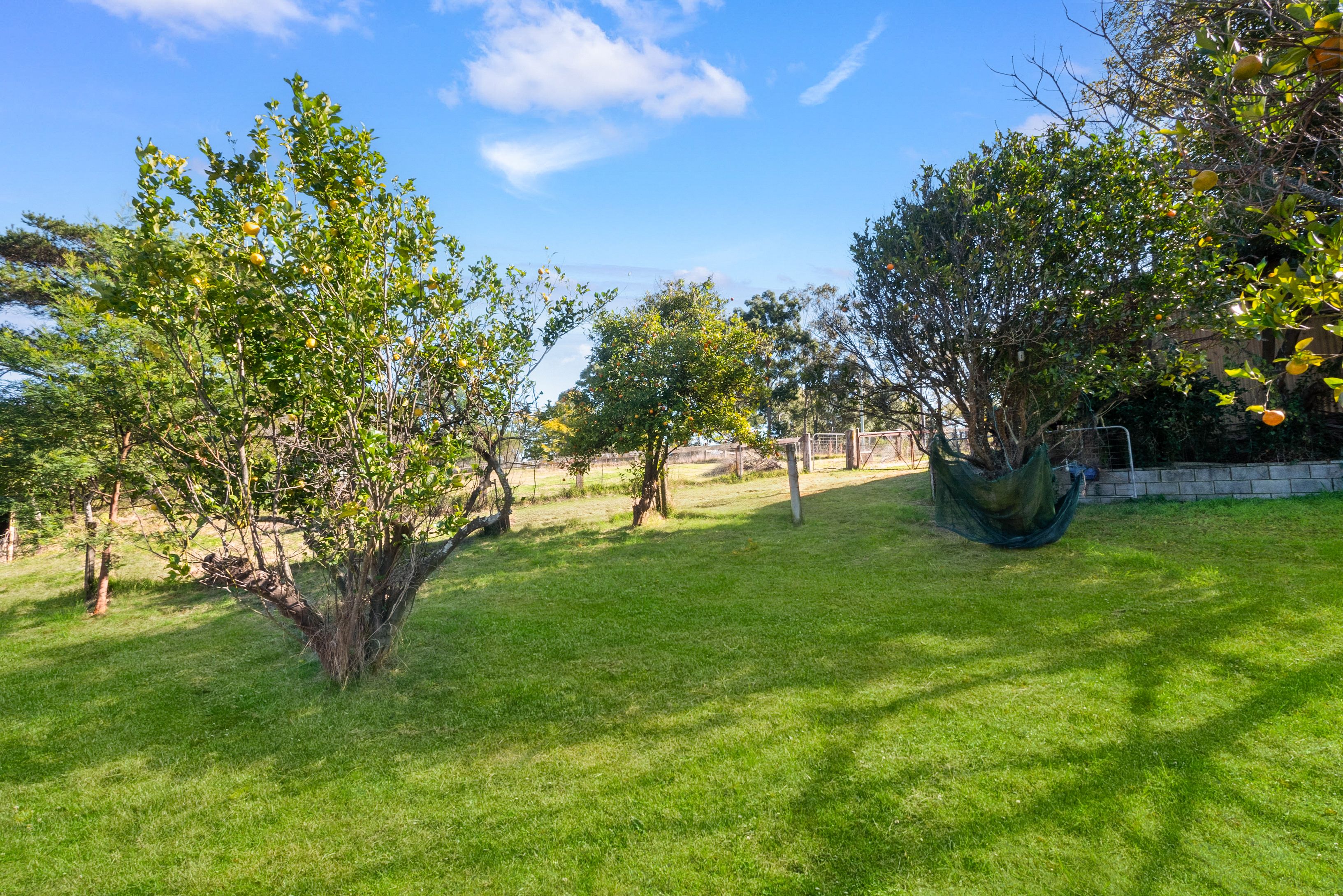 676 EAST KURRAJONG RD, EAST KURRAJONG NSW 2758, 0 rūma, 0 rūma horoi, Lifestyle Section