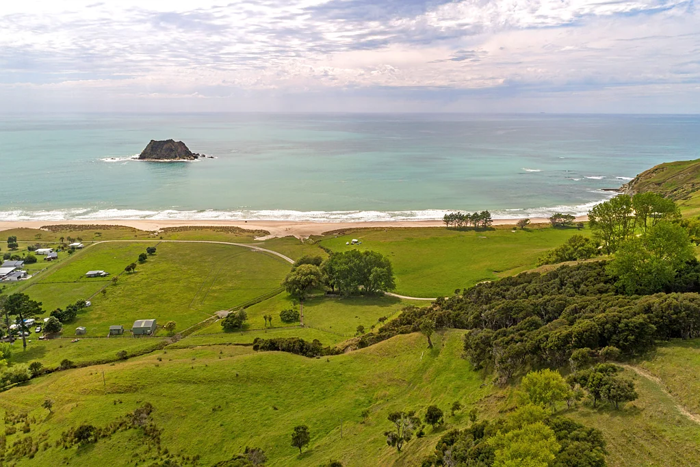Tolaga Bay Create memories at the beach! 4 x sections!