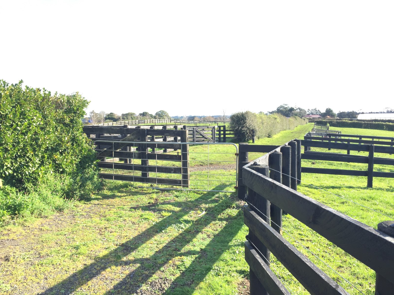 712 Glenbrook Road, Kingseat, Auckland - Franklin, 0 rūma, 0 rūma horoi