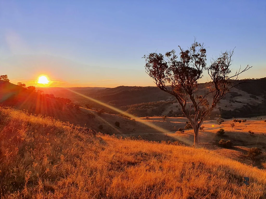 Mudgee Lifestyle and Adventure