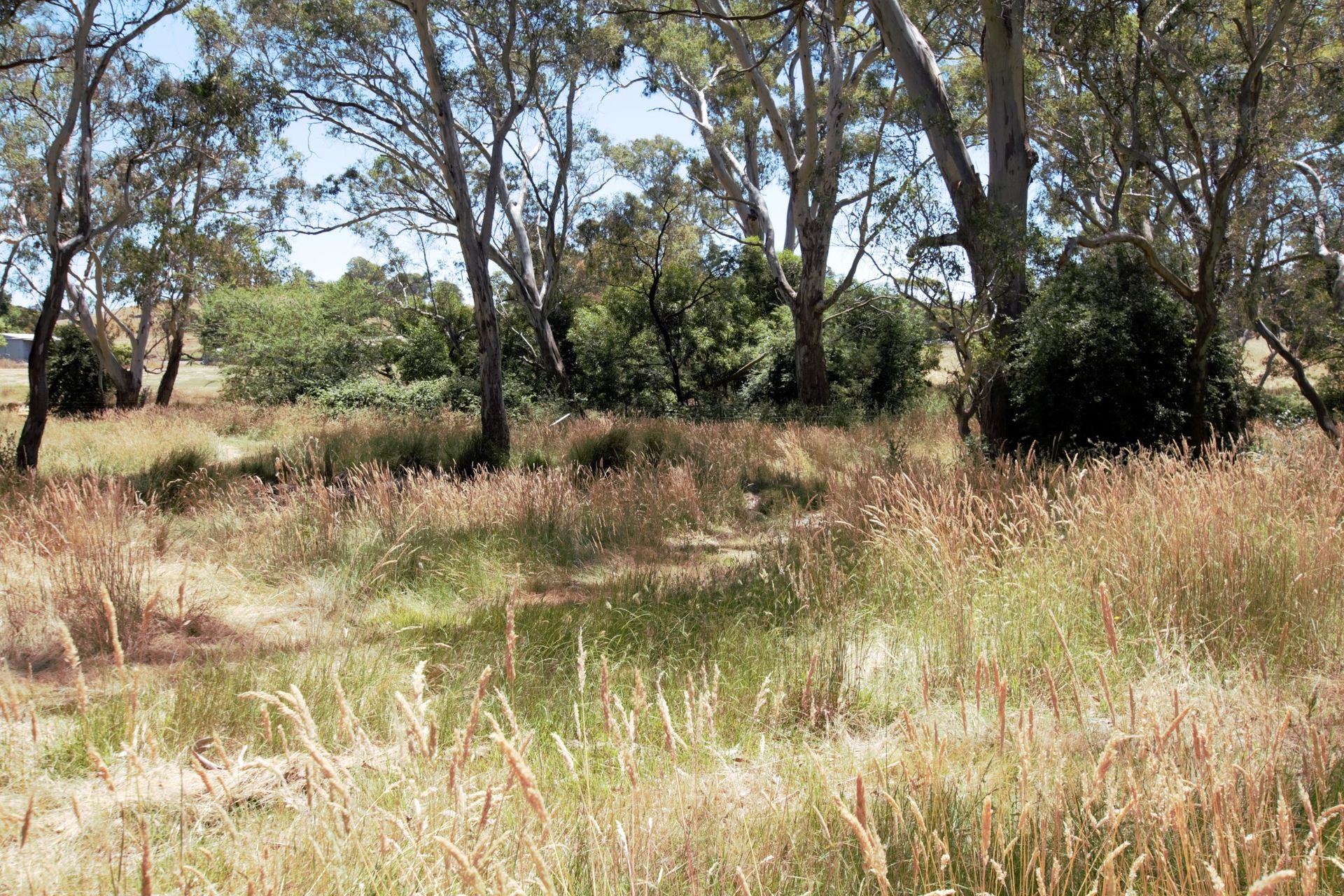 8235 MAROONDAH HWY, MERTON VIC 3715, 0 રૂમ, 0 બાથરૂમ, Section