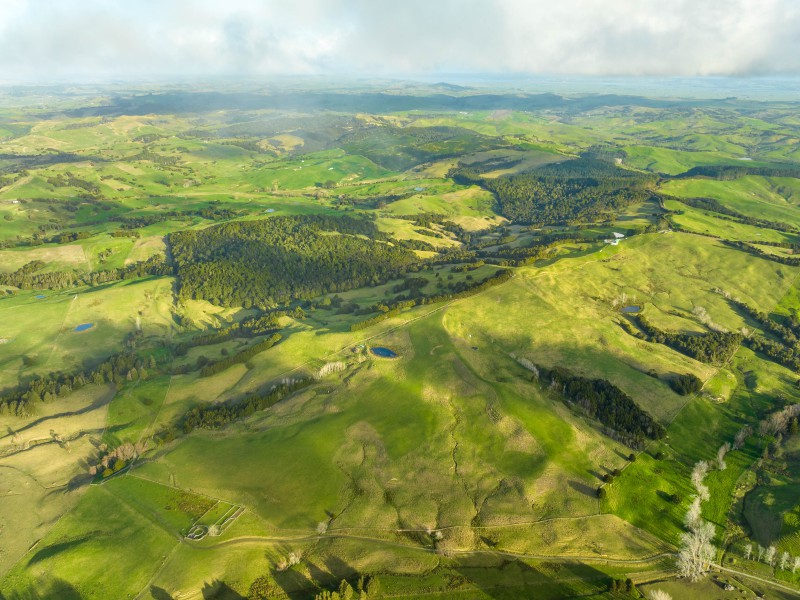 85 Lusk Road, Ruawai, Kaipara, 0 phòng ngủ, 1 phòng tắm, Grazing