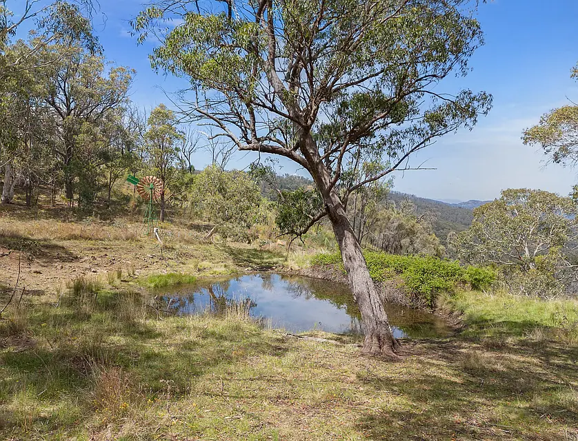 2515 Nullo Mountain Road, Rylstone, North West, 1房, 1浴, Lifestyle Property