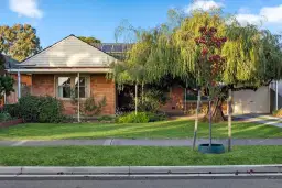 15 Park Terrace, Plympton Park