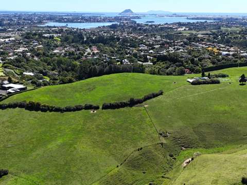 Ohauiti Urban-zoned land: shape Tauranga’s future