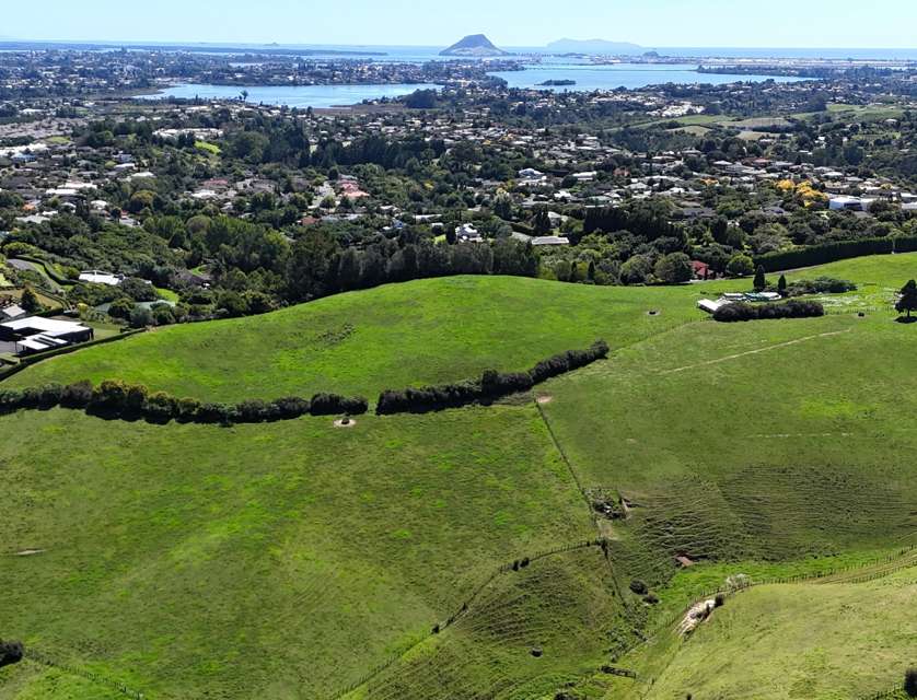 120/125 Upper Ohauiti Road, Ohauiti, Tauranga, Bay of Plenty, 0部屋, 0バスルーム, Bare Land
