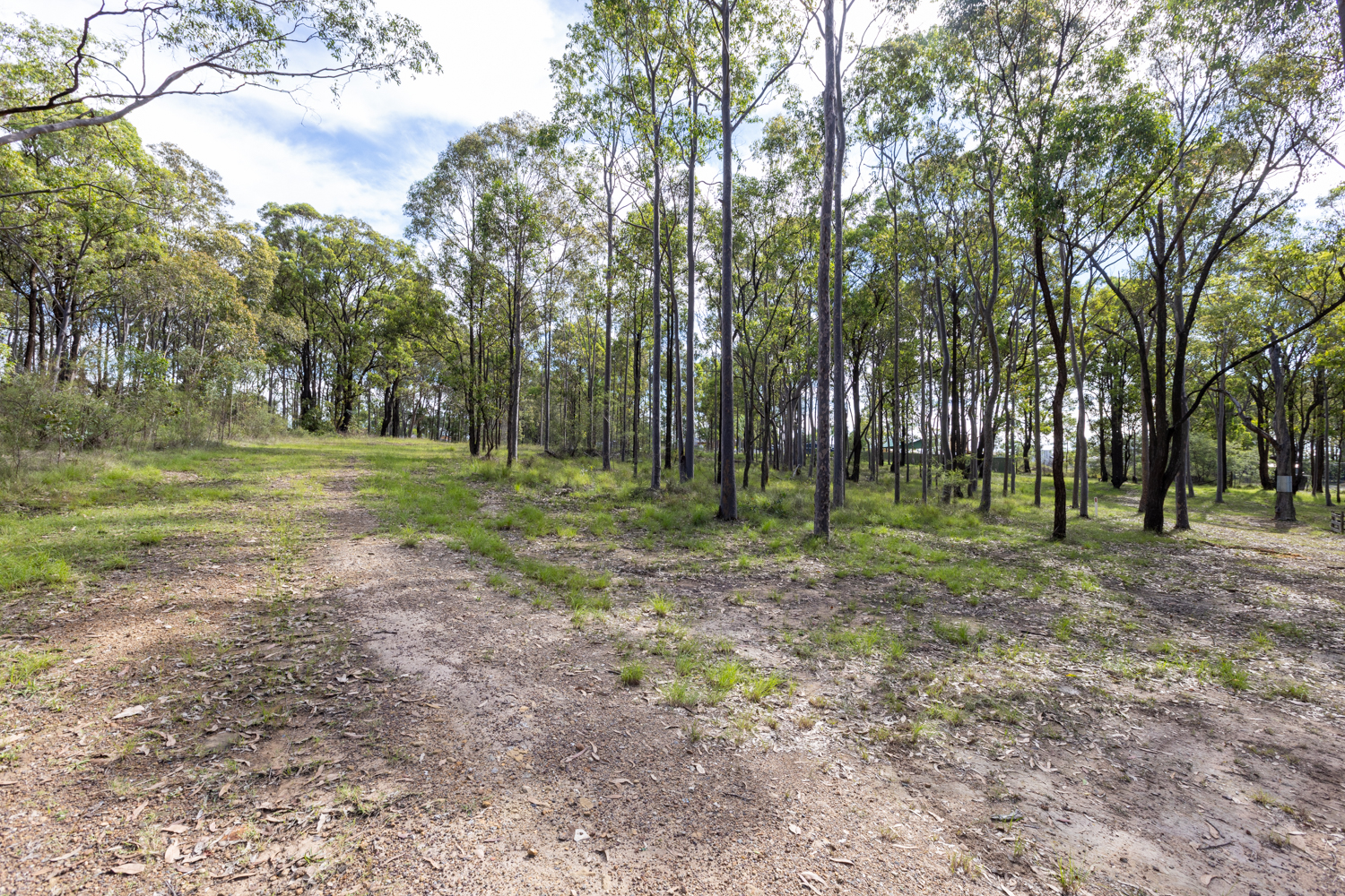 30 MITCHELL DR, EAST MAITLAND NSW 2323, 0 Kuwarto, 0 Banyo, Section