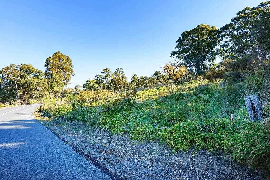 Chewton BUSH HAVEN!
