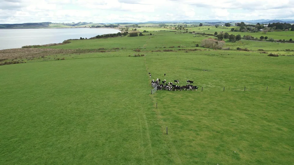 Okaihau 102ha Lake Frontage Beef Farm