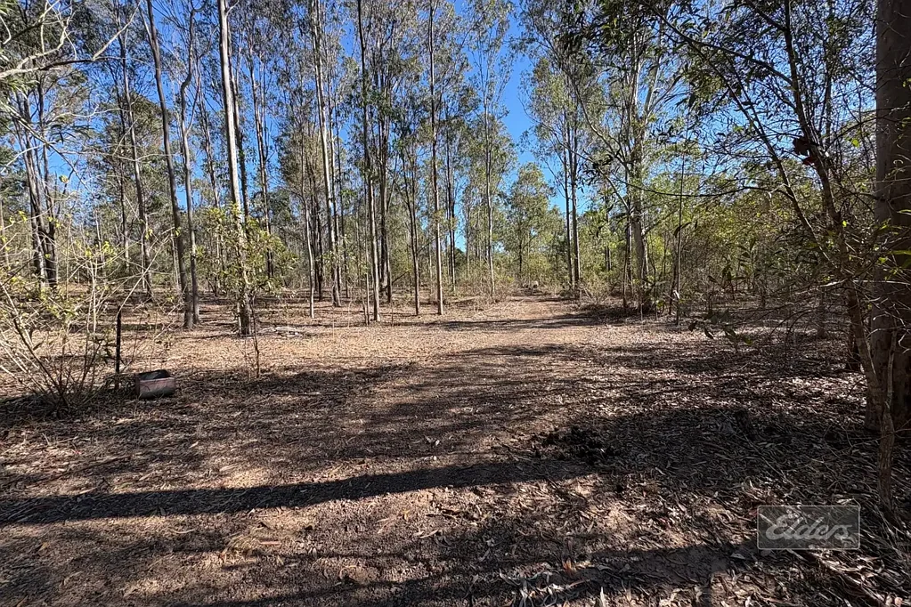 Tiaro BUILD, ESCAPE OR LAND BANK