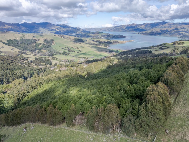 Rural Banks Peninsula