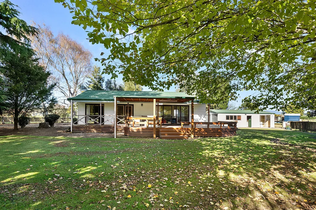 Matamata  Equine / Lifestyle
