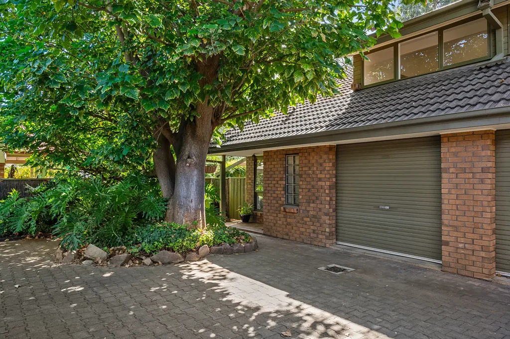 3/34 Maud Street, Unley, SA 5061