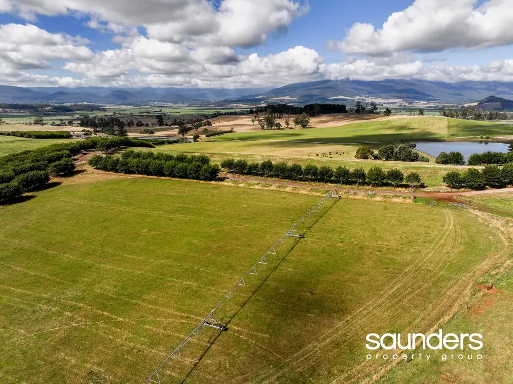 Needles  Needlesdale  – A 200-Acre Agricultural Gem with Water Security & Exceptional Potential