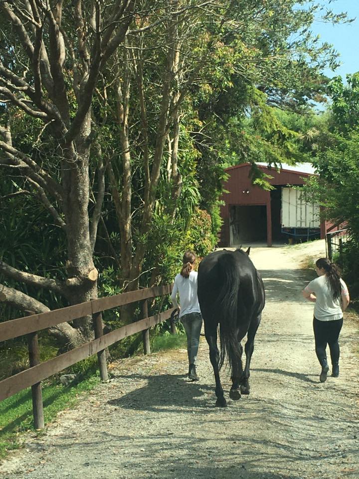 58 Heatley Road, Whakapirau, Kaipara, 4房, 0浴