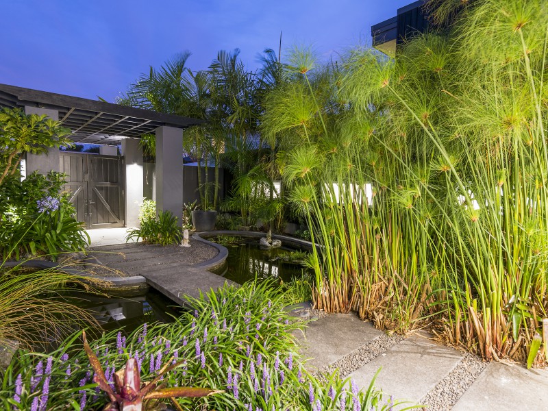 81 Fisher Parade, Sunnyhills, Auckland - Manukau, 6房, 1浴, House