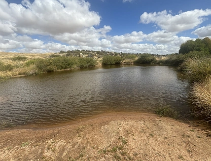 Lot 65 Forrester Road, Mount Erin, Outback (South), 0 غرف, 0 حمامات, Lifestyle Property