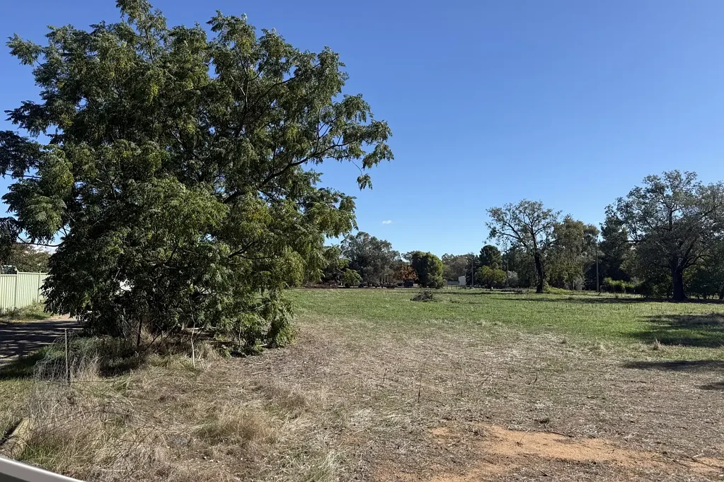 Ganmain  Over an Acre Allotment with Endless Potential