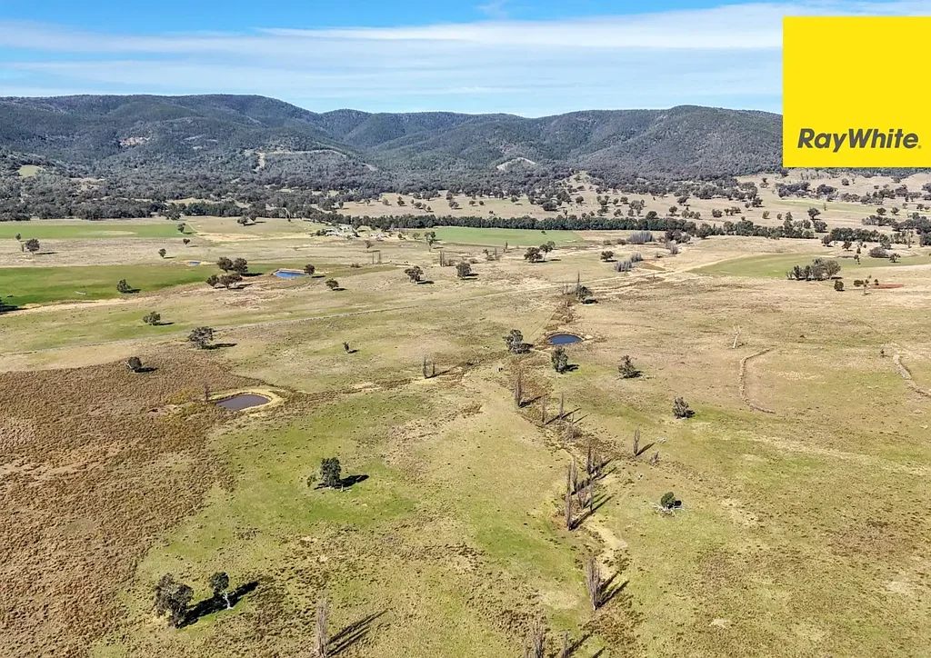 Inverell 'Reliable Grazing Operation"