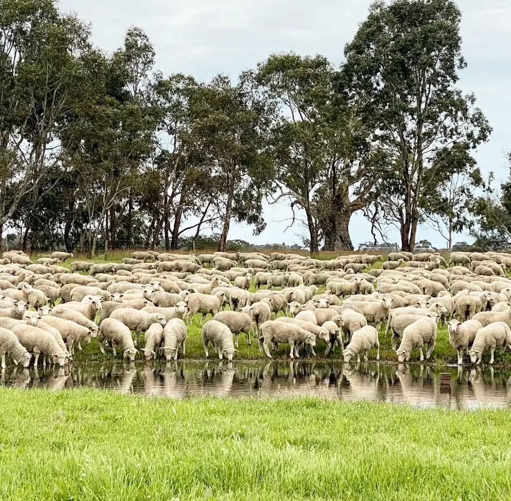 Apsley Step in With Lease & Purchase Option