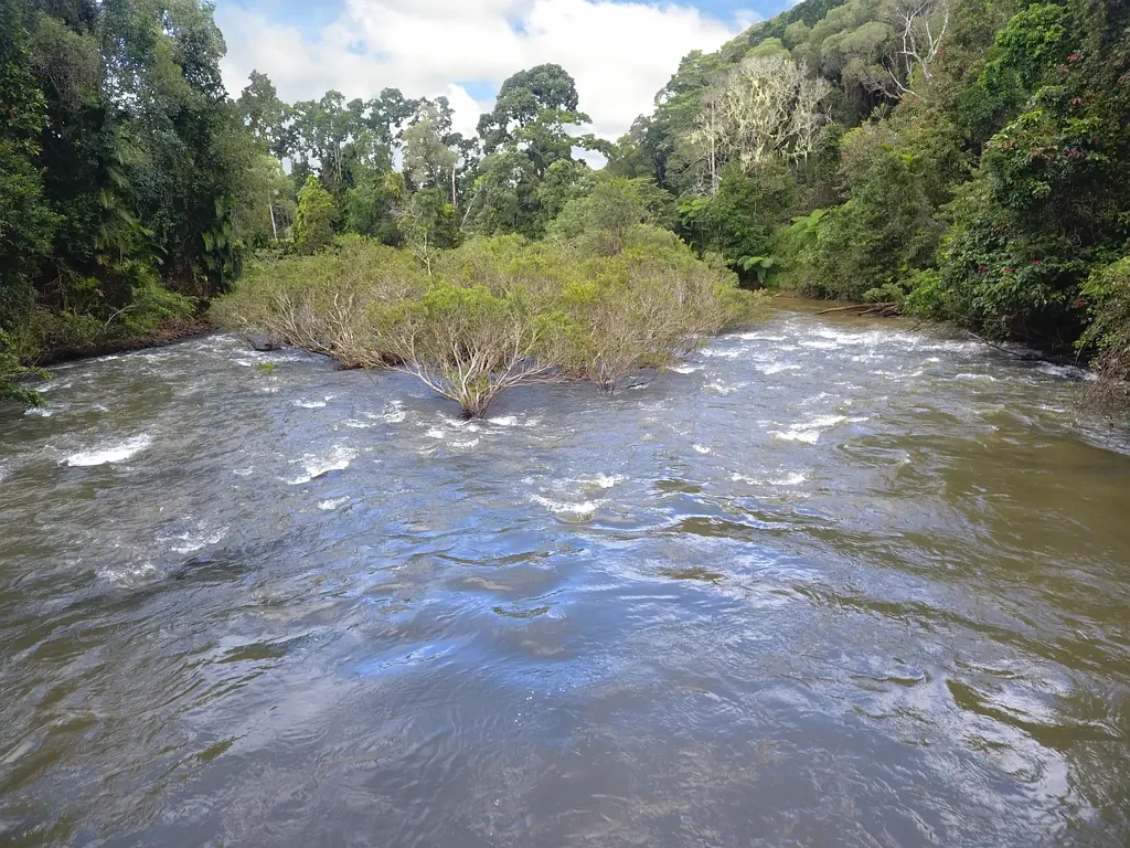 Malanda Climate Lifestyle Income