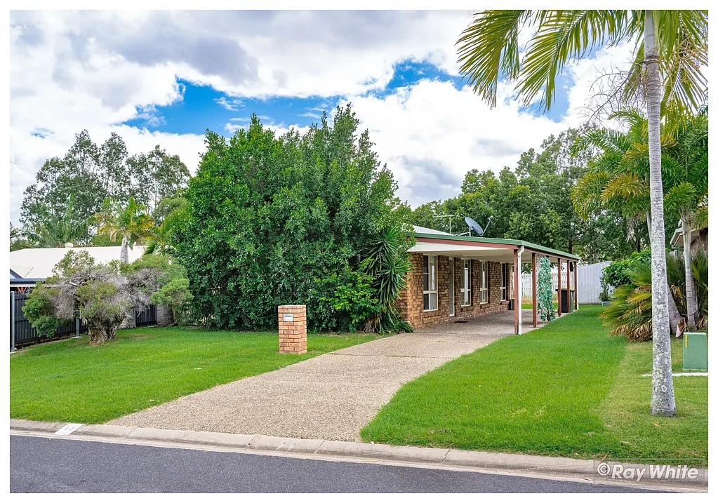 17 Protea Avenue, Norman Gardens, QLD 4701
