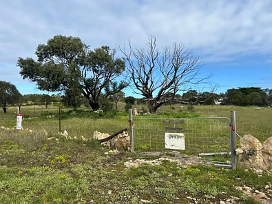 Sheringa AUCTION in accordance with Section 184 of the Local Government Act 1999 (SA)