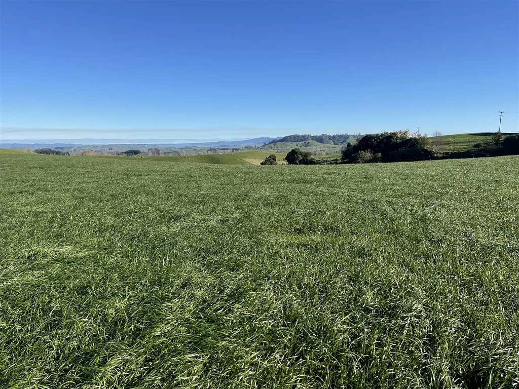 Te Awamutu Elevation, Views and location