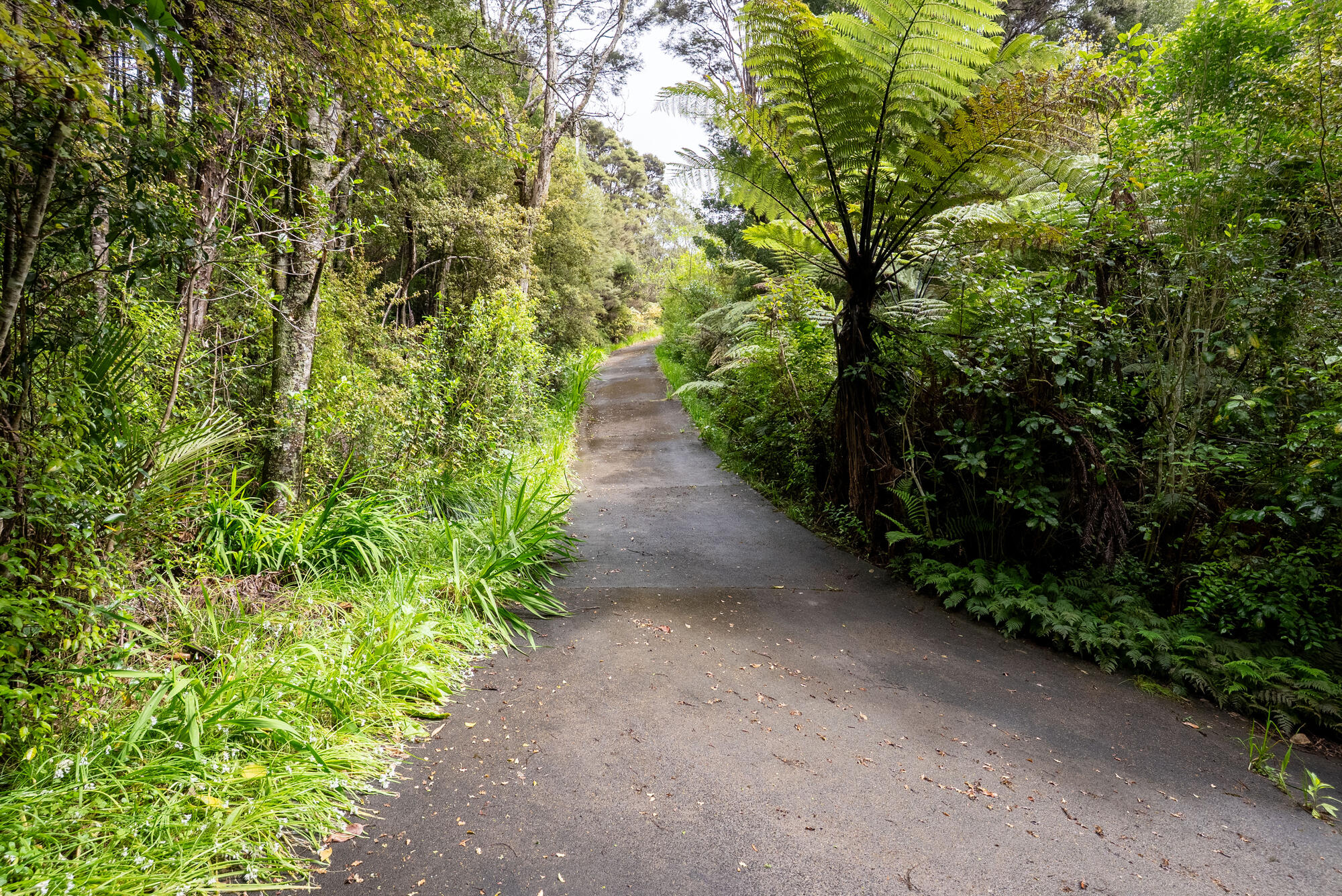 19 Hobson Road, Lucas Heights, photo 1