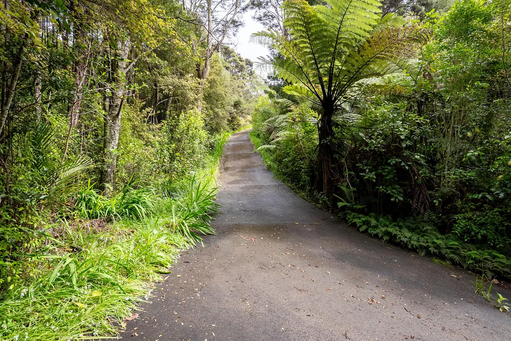 Lucas Heights Resource Consented | Rare 3.5-Acre Bush Block
