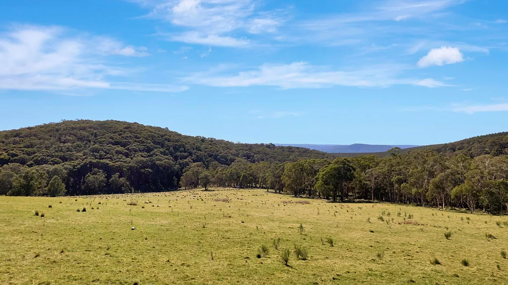 Mount Lambie Mount Lambie Solitary Escape - 42.9 Ha