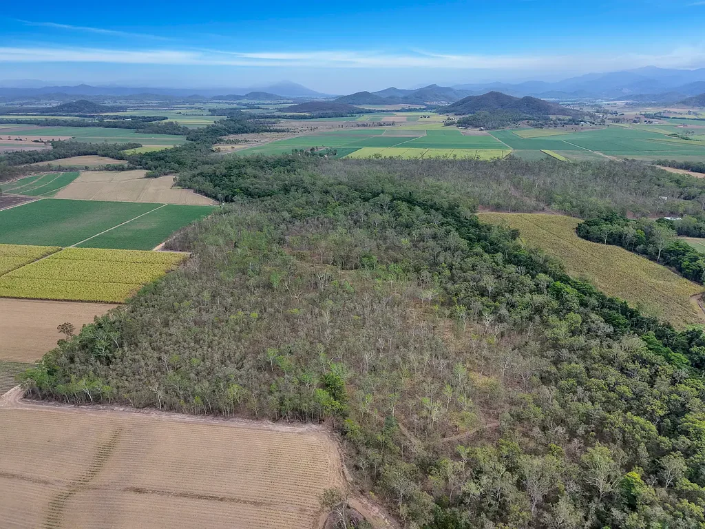 Benholme  A rare rural lifestyle opportunity just 5 minutes from Mirani
