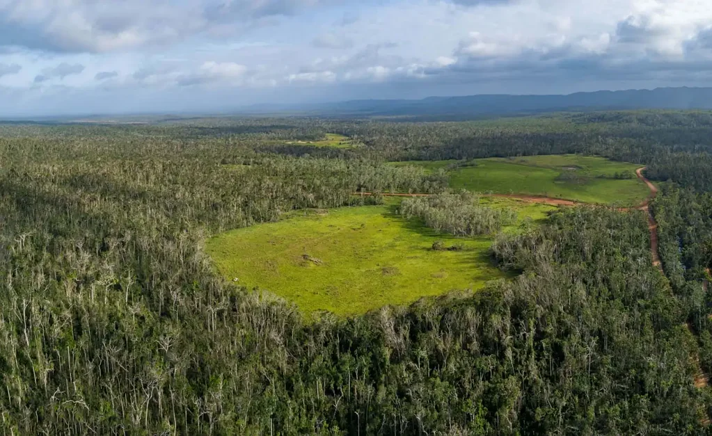 Iron Range Rainforest Acreage FOR SALE. Newly Subdivided Only 10 BLOCKS (Now just 7 left). Last Freehold East Coast Blocks For Sale In North Queensland !