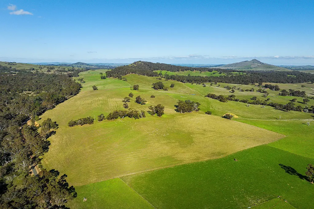 Norval CLEARED PROPERTY WITH SOFT, ROLLING CONTOURS!